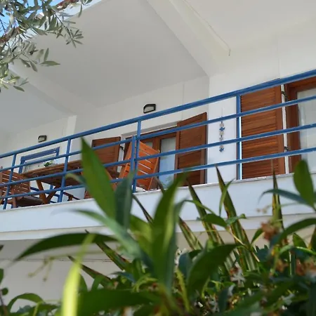 Blue Maison *