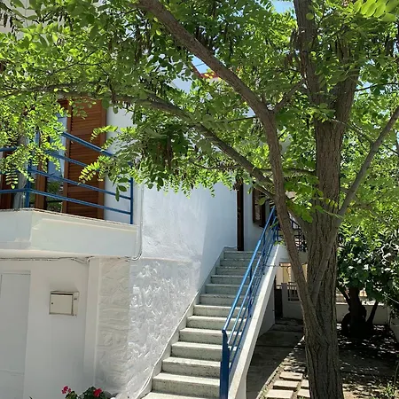 Blue Maison *